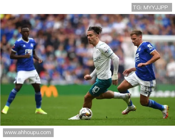 纳普里达克与梅塔拉比赛数据深度分析及战术解读 纳普里达克与梅塔拉比赛数据深度分析及战术解读